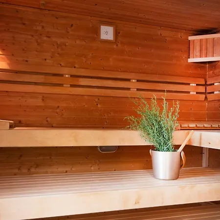 Brauers Landarthotel Gmbh 3* 道恩