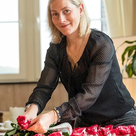 Brauers Landarthotel Gmbh Hotel Daun