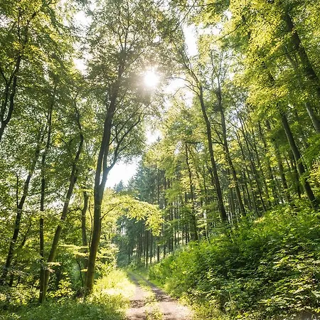 酒店 Brauers Landarthotel Gmbh 道恩