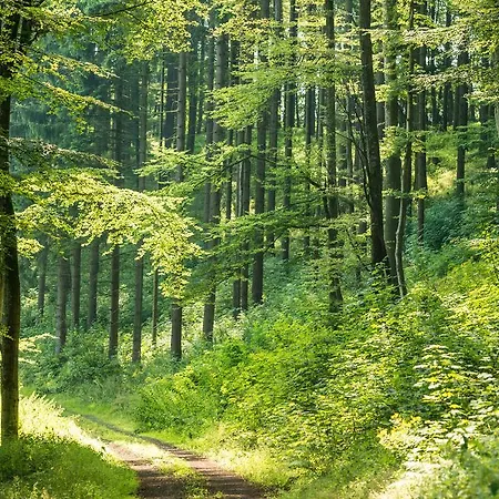 Hotel Brauers Landarthotel Gmbh