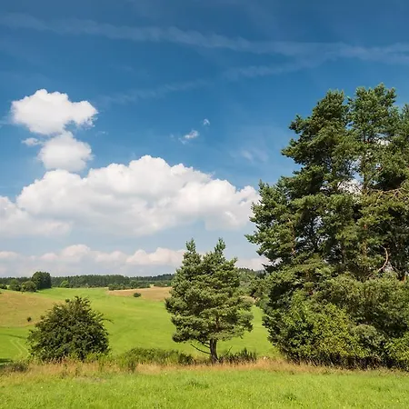 Brauers Landarthotel Gmbh Hotel