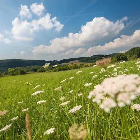 Hotell Brauers Landarthotel Gmbh 3*