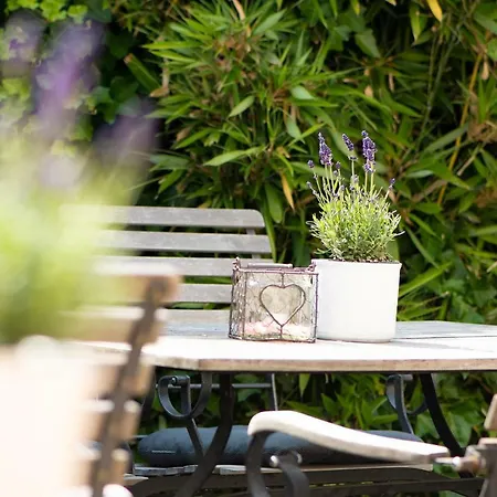 Brauers Landarthotel Gmbh Daun