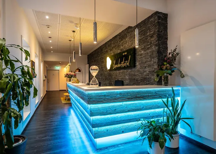 Brauers Landarthotel Gmbh 3* דאון