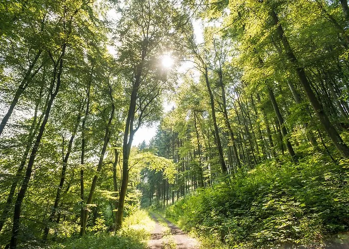 מלון Brauers Landarthotel Gmbh דאון