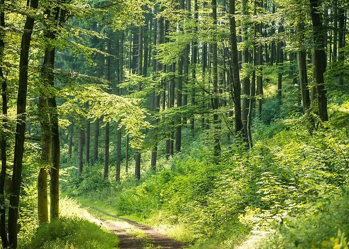 Hotel Brauers Landarthotel Gmbh