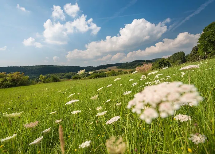 מלון Brauers Landarthotel Gmbh 3*